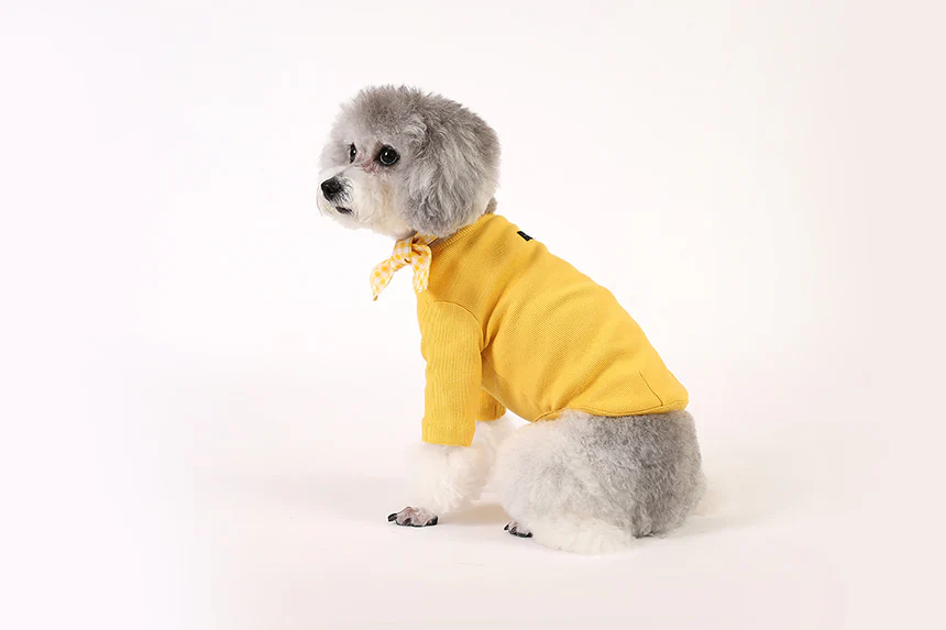 GELATO . SLEEVE . YELLOW