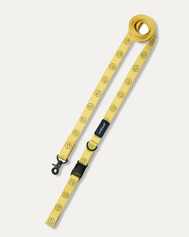 Smile Edition . Yellow . Leash
