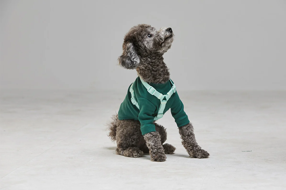 Macaron Harness . Aqua