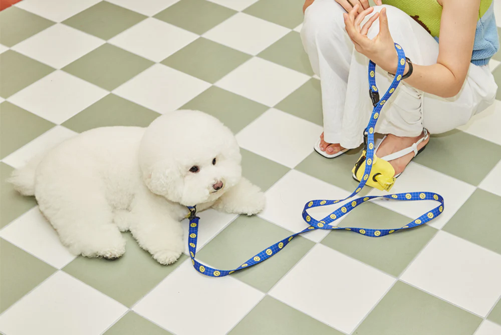 Smile Edition . Blue . Collar & Leash Set