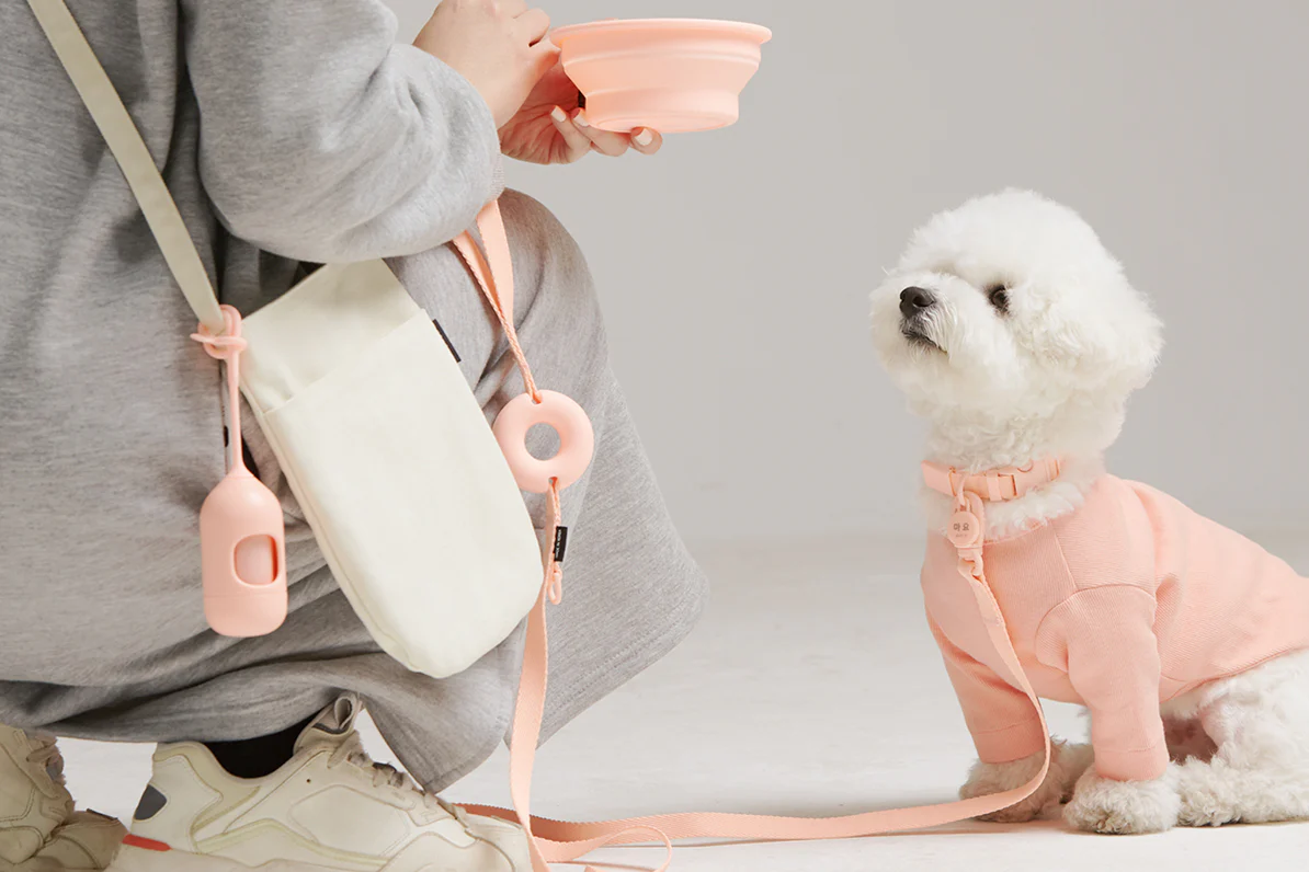Macaron Walking Bag