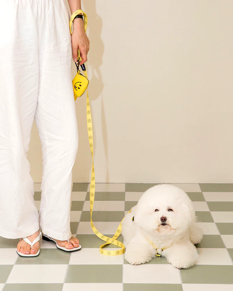 Smile Edition . Yellow . Leash