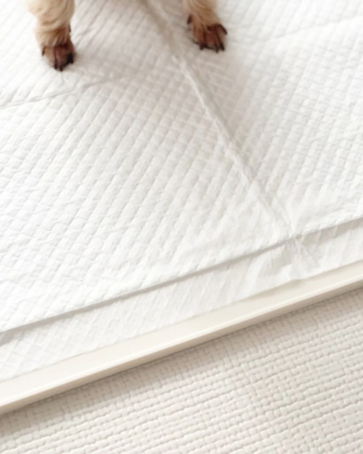 Silicon Pee Pad holder