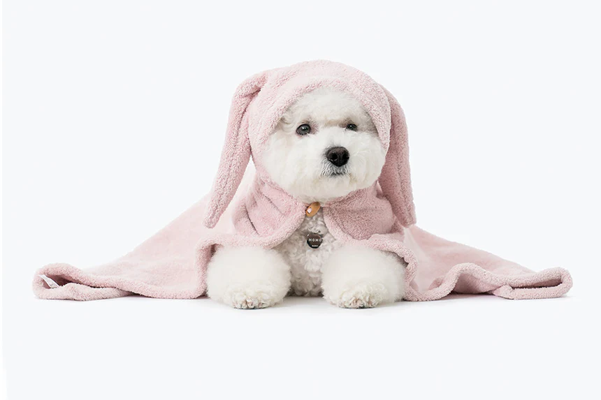 Animal hood towel . rabbit