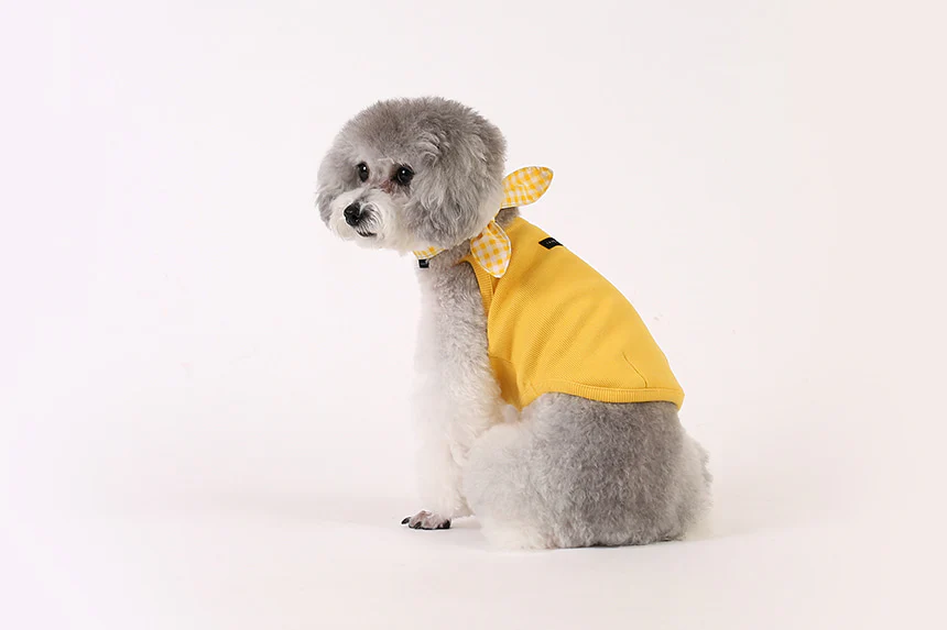 GELATO . STRING . YELLOW