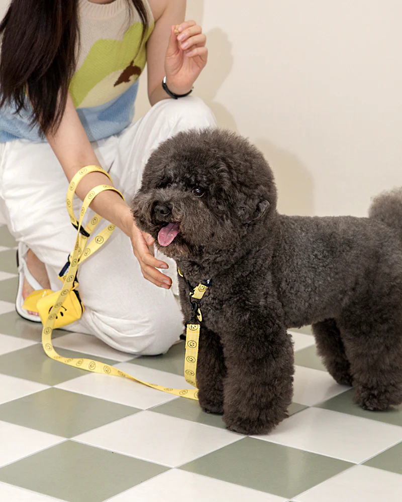Smile Edition . Yellow . Collar & Leash Set