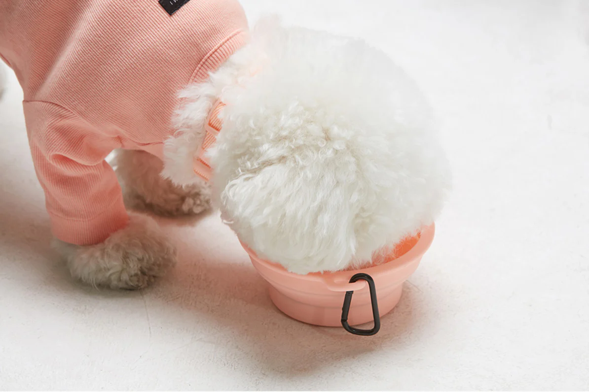 Macaron Collapsible Bowl . Pink