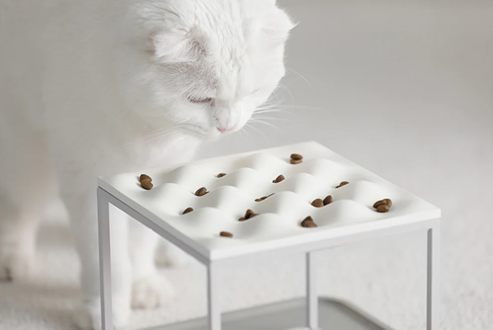 Wave Slow Pet Feeding Plate