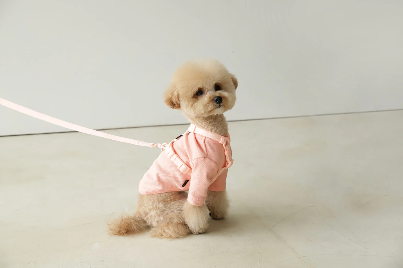 Macaron Harness . Pink