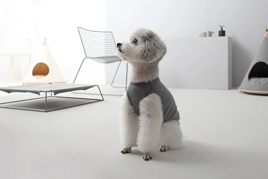 GELATO . TANK . GRAY