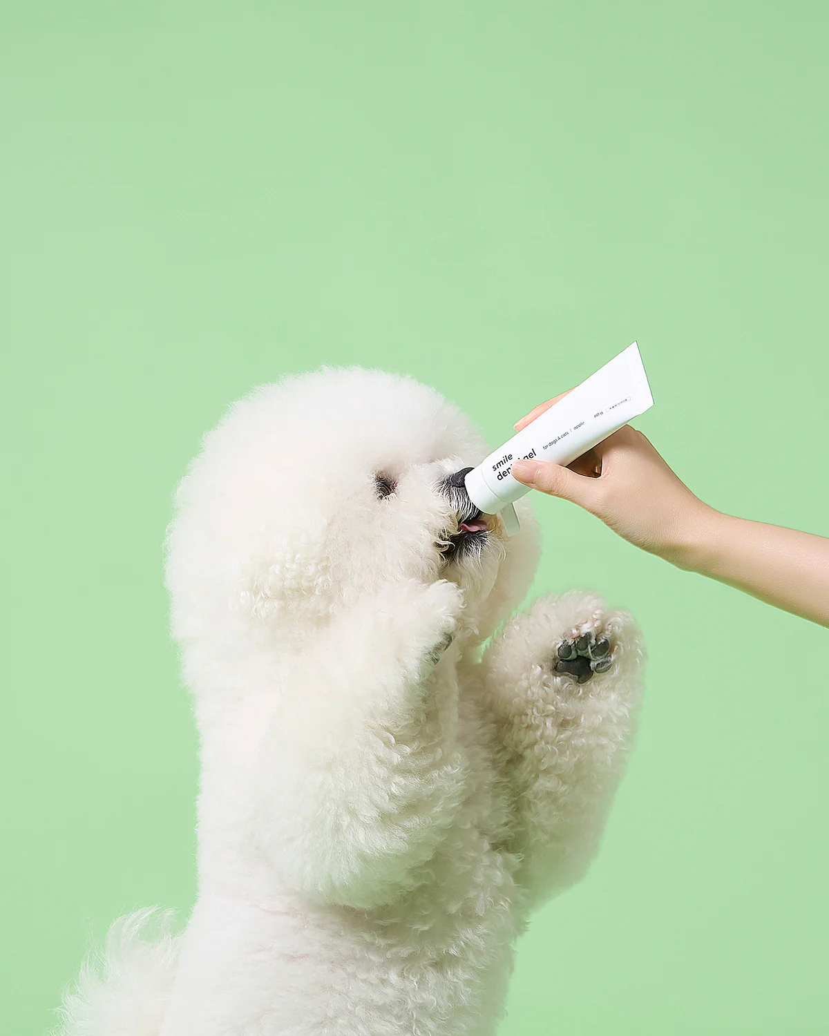 Smile Dental Brush & Gel