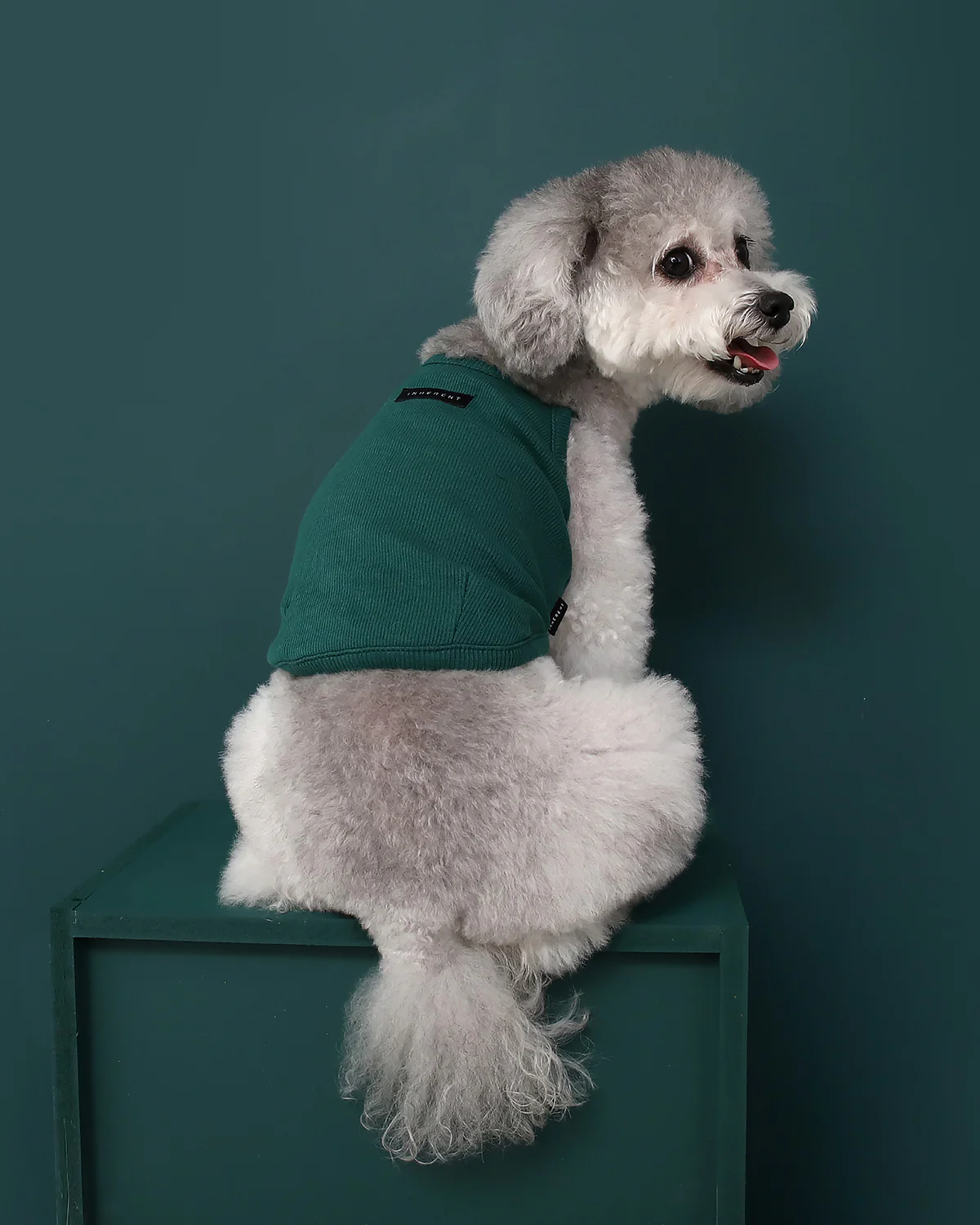 GELATO . STRING . GREEN