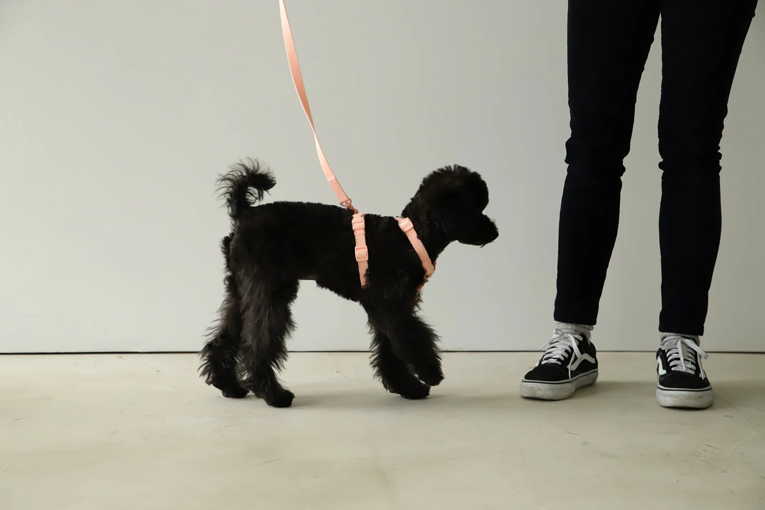 Macaron Harness . Pink