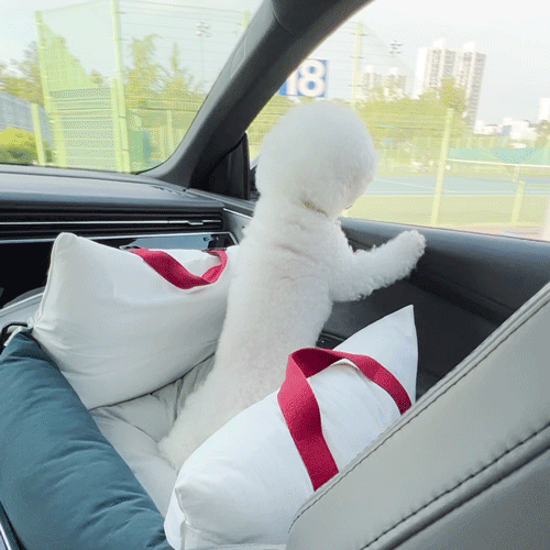 VOYAGE CAR COMFORT SEAT . WHITE APPLE