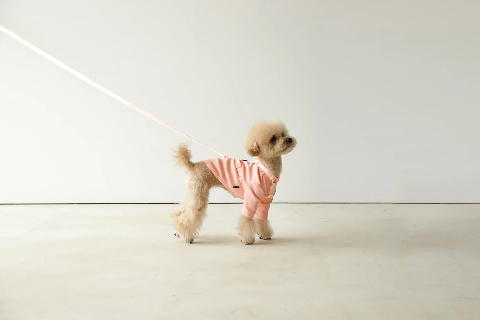 Macaron Leash . Pink