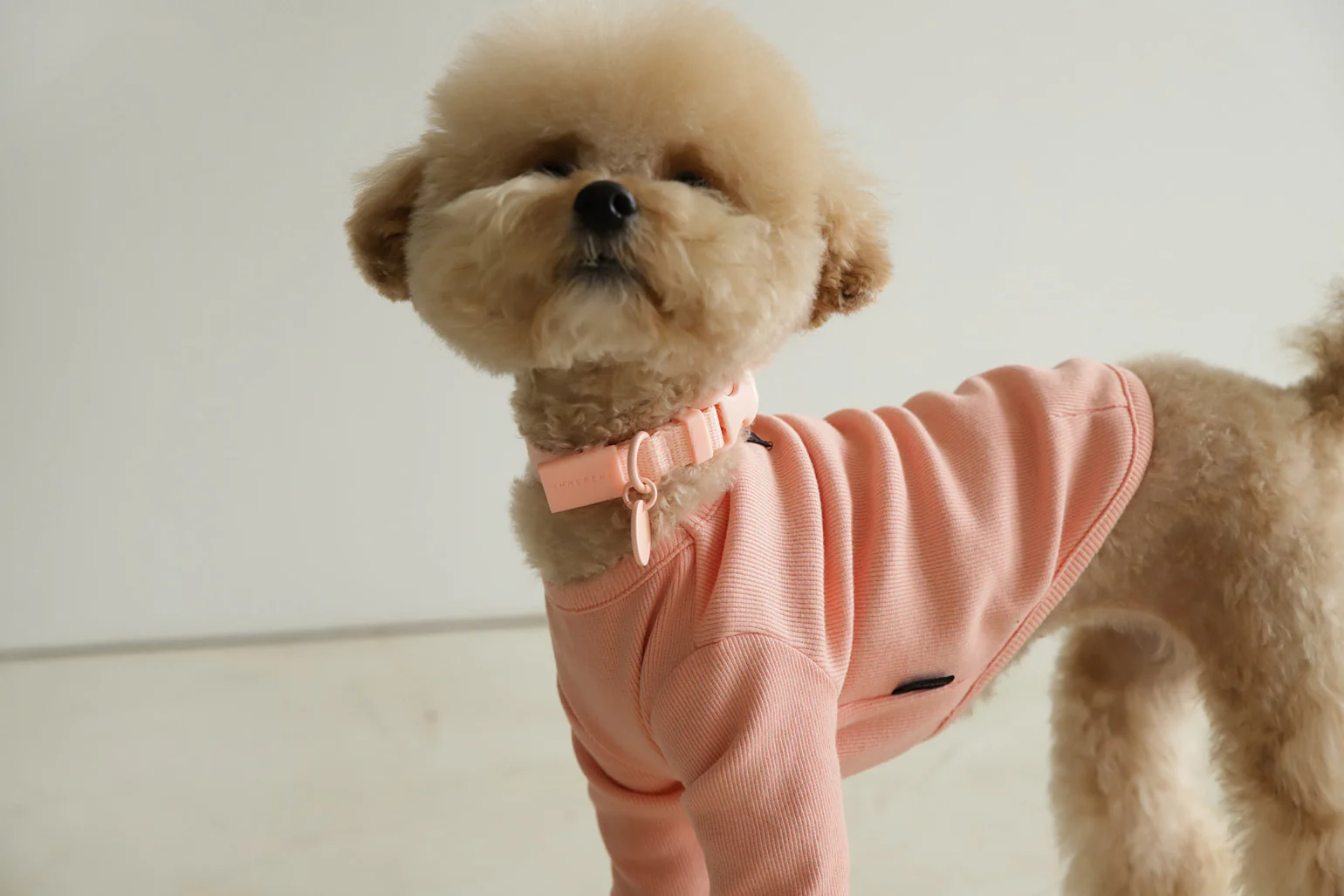 Macaron Collar . Pink