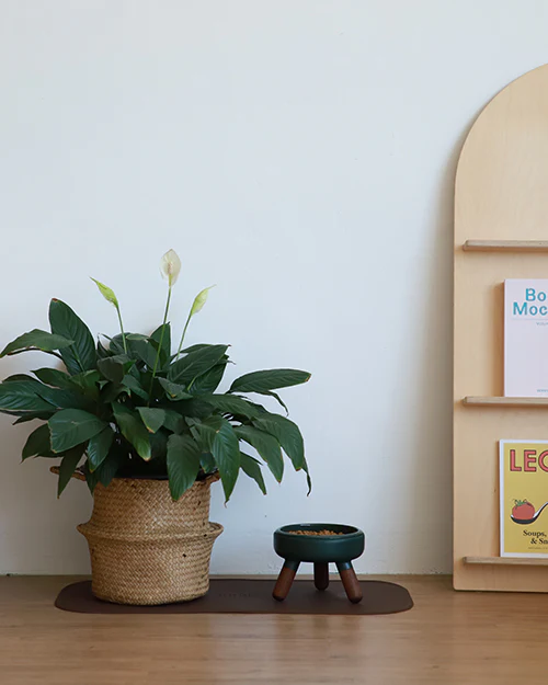 Oreo Elevated Pet Table Wood . Dark Green . Short