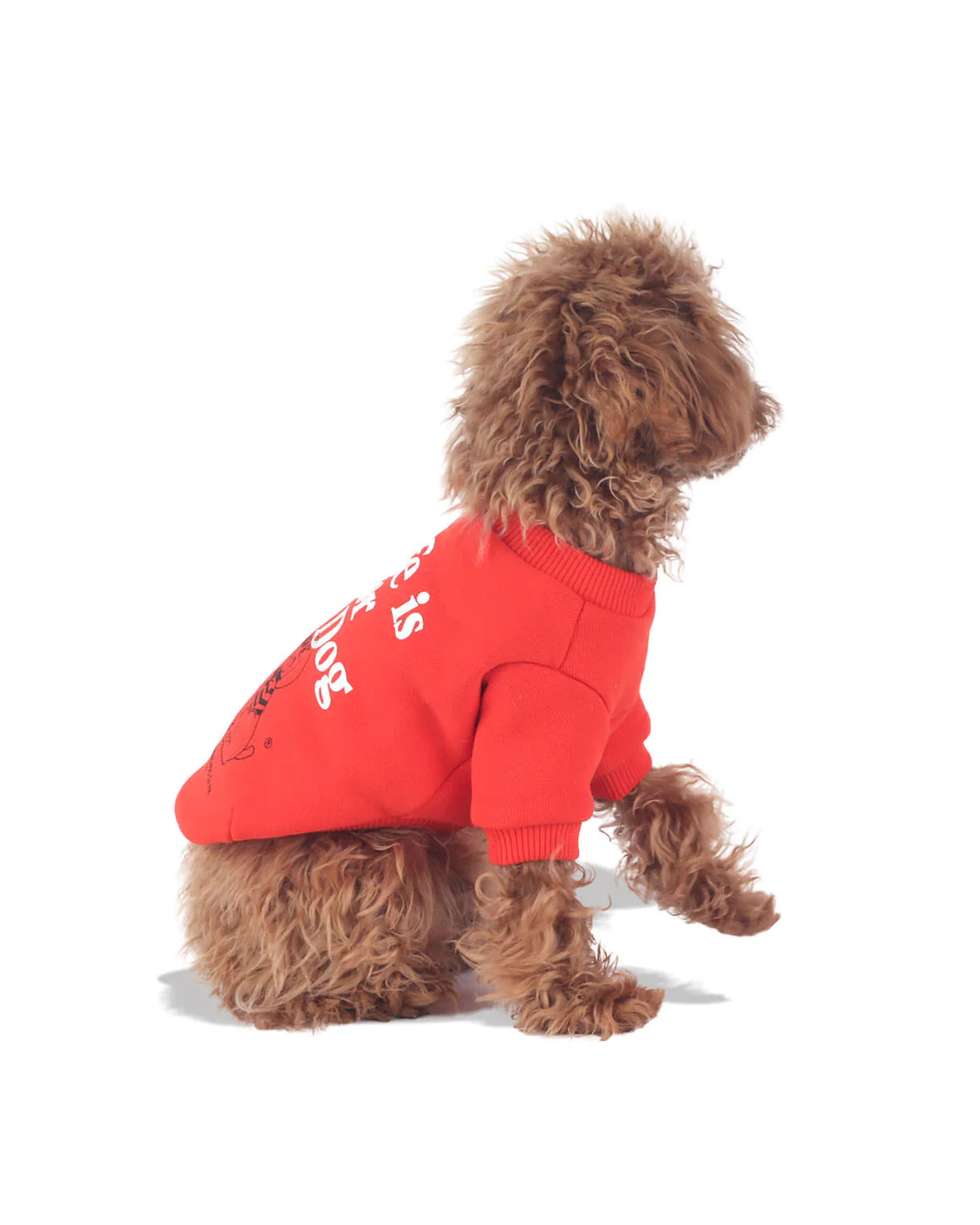 With dog Sweatshirts . For Dogs . Red