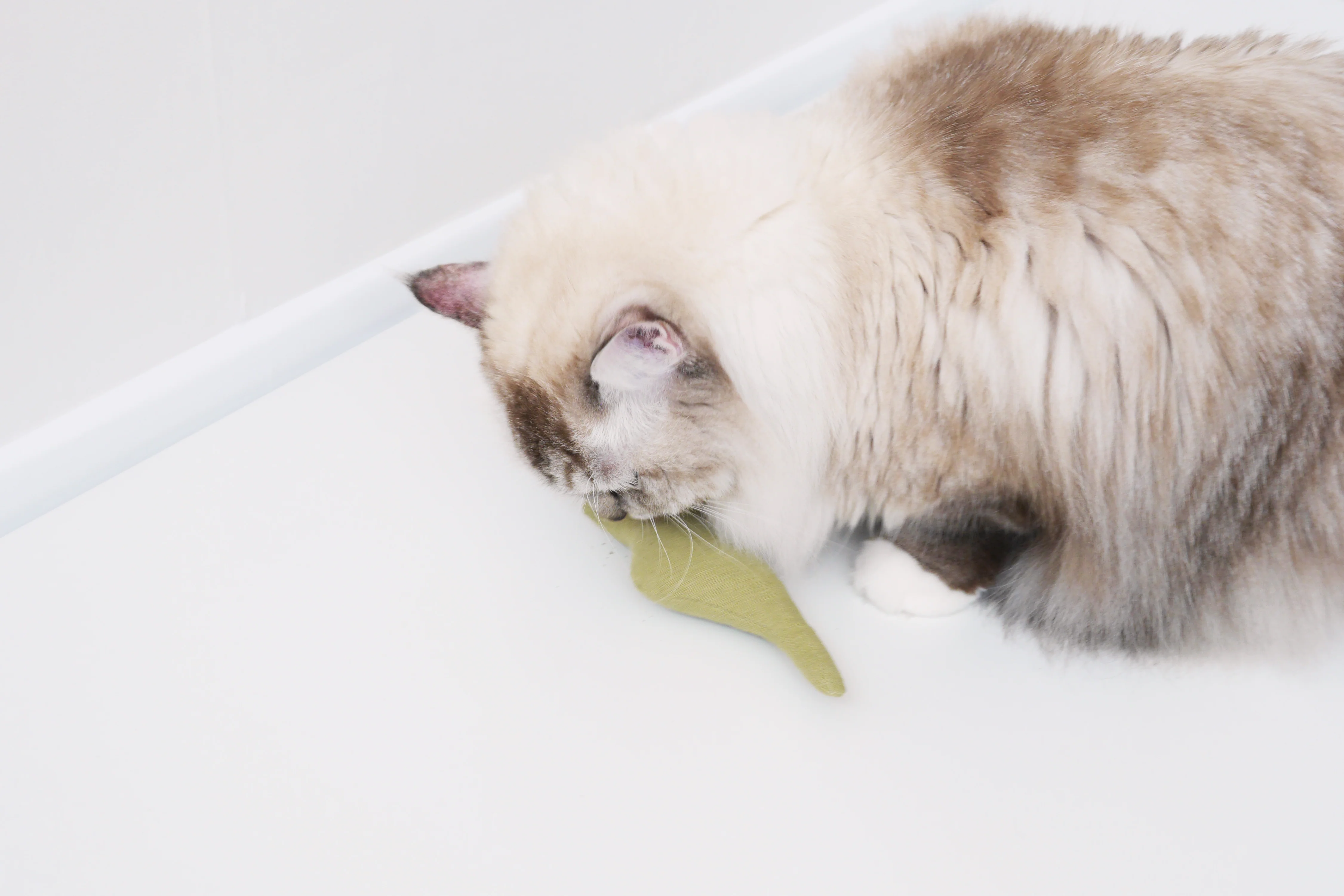 Boa Snake  catnip cat toy