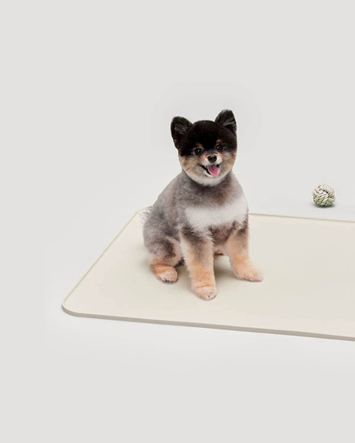 Silicon Pee Pad holder