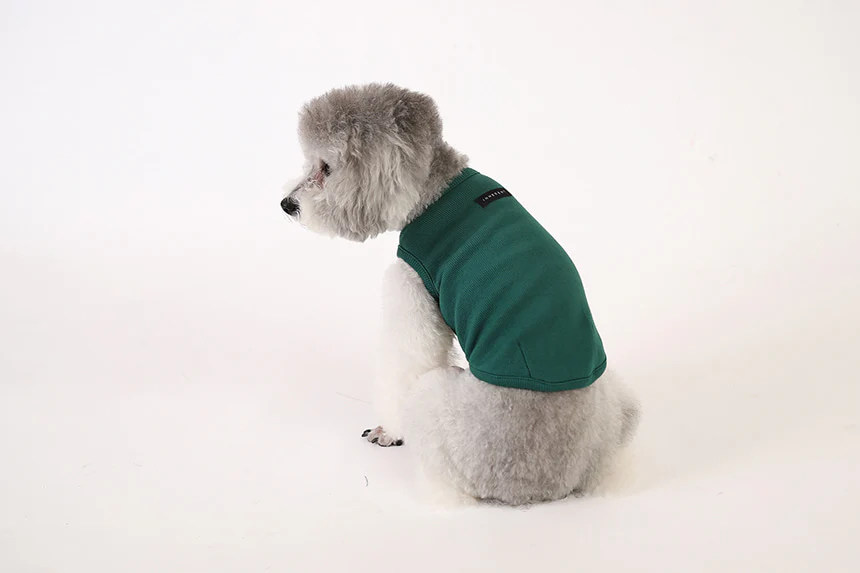 GELATO . TANK . GREEN