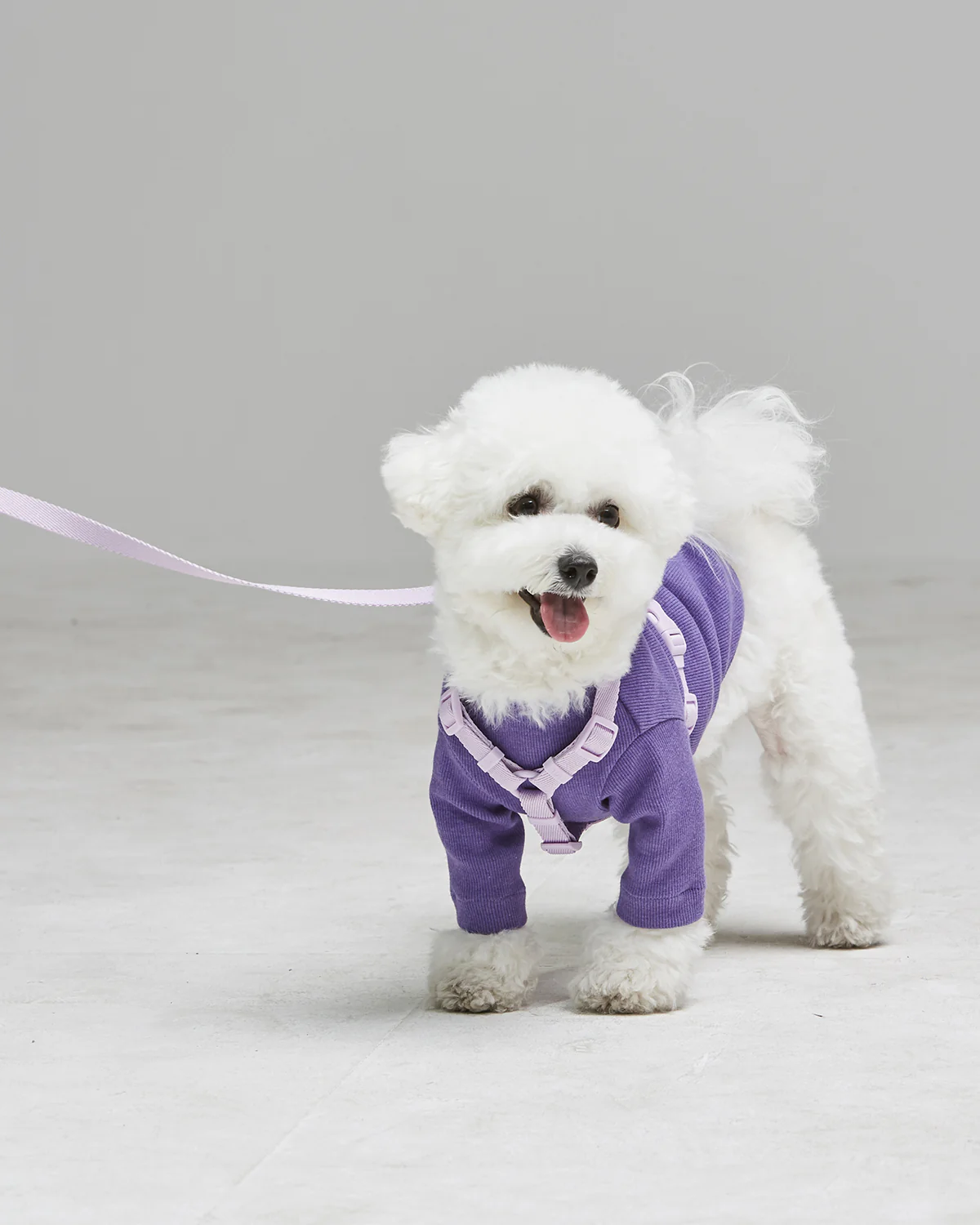 Macaron Harness . Lavender