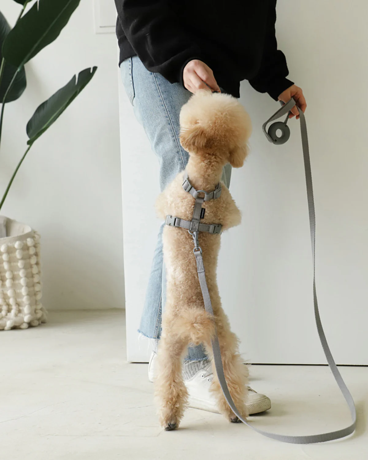 Macaron Harness . Gray