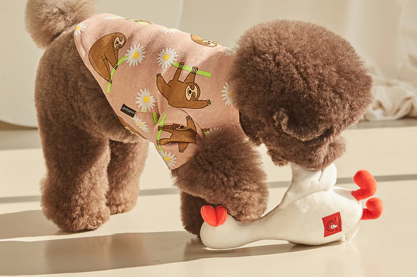 Flying Duck Nosework Toy