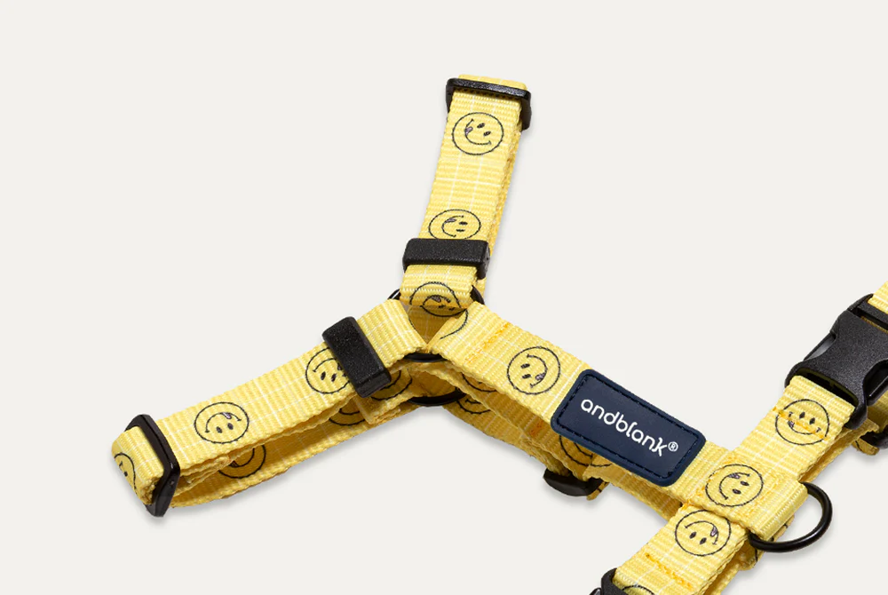 Smile Edition . Yellow . Harness