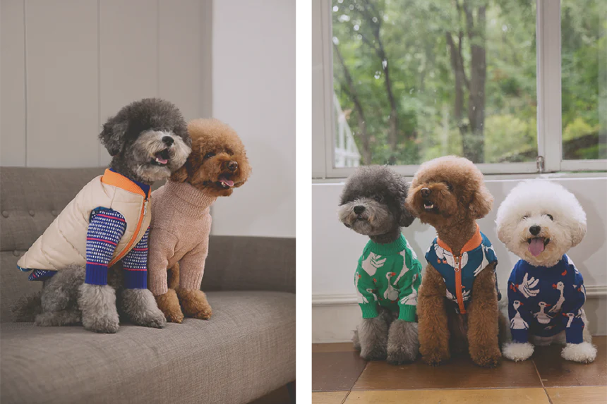 Flying Duck Reversible Padding Jacket . Blue