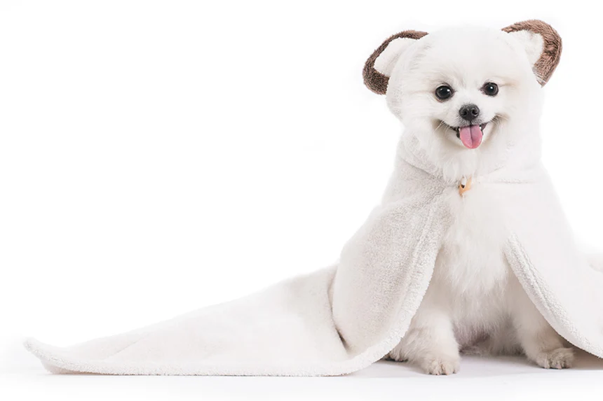 Animal Hood Towel . Bear