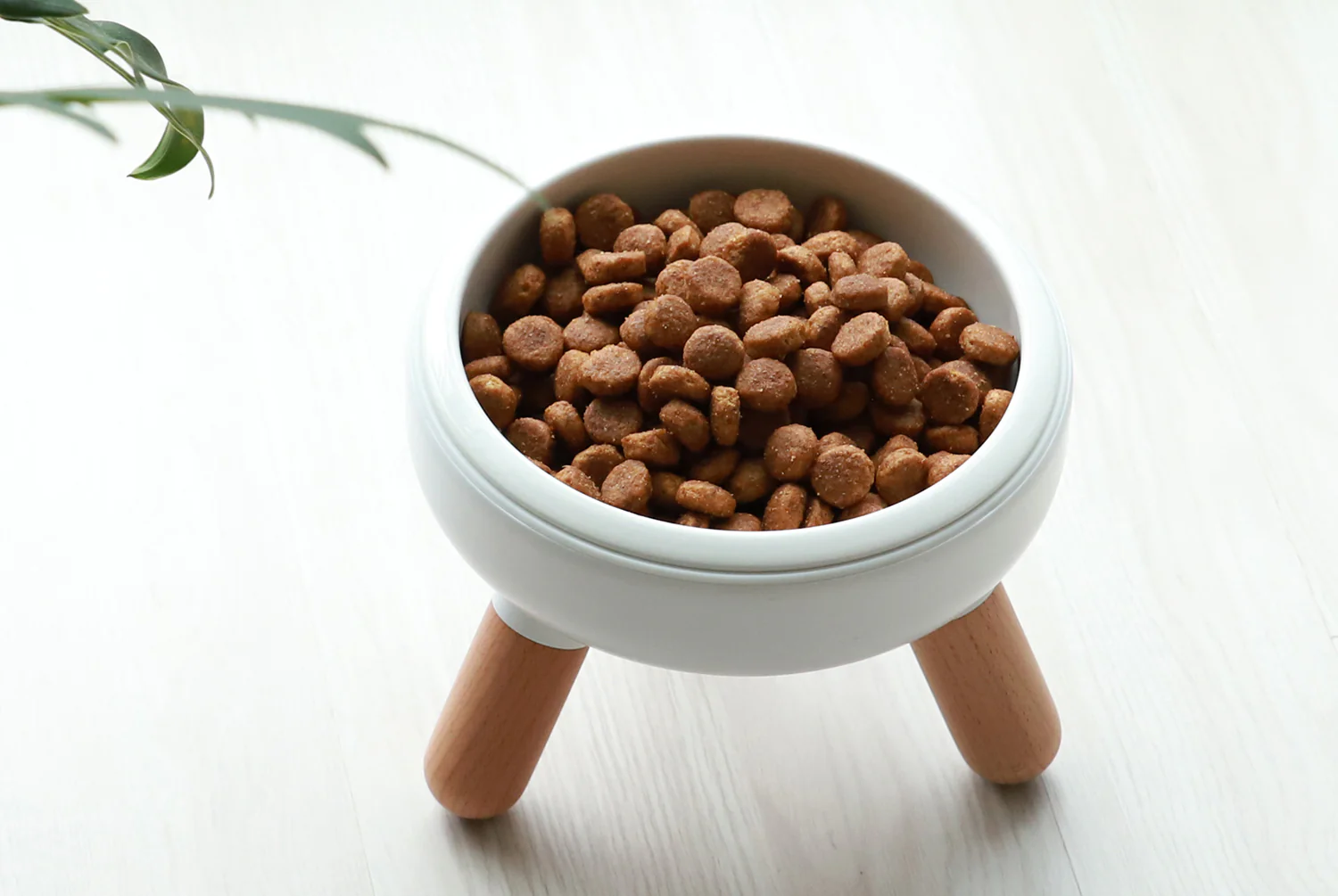 Oreo Elevated Pet Wood Table . Beech . Short