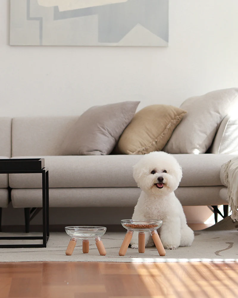 Oreo Glass Elevated Pet Table. Beech . Short