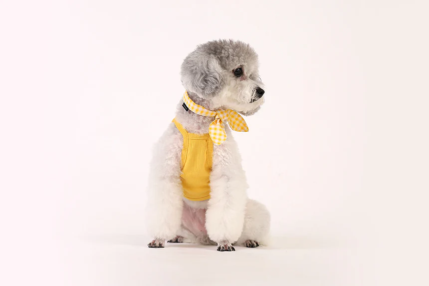 GELATO . STRING . YELLOW