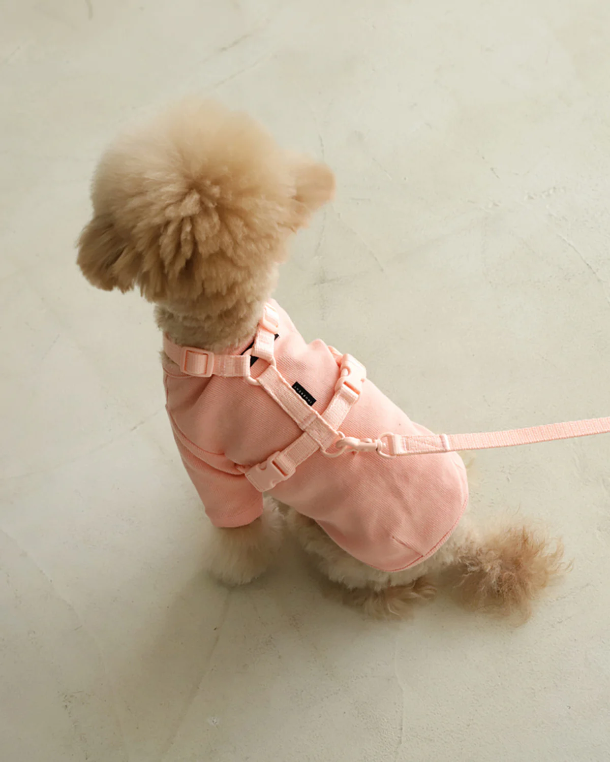 Macaron Harness . Pink