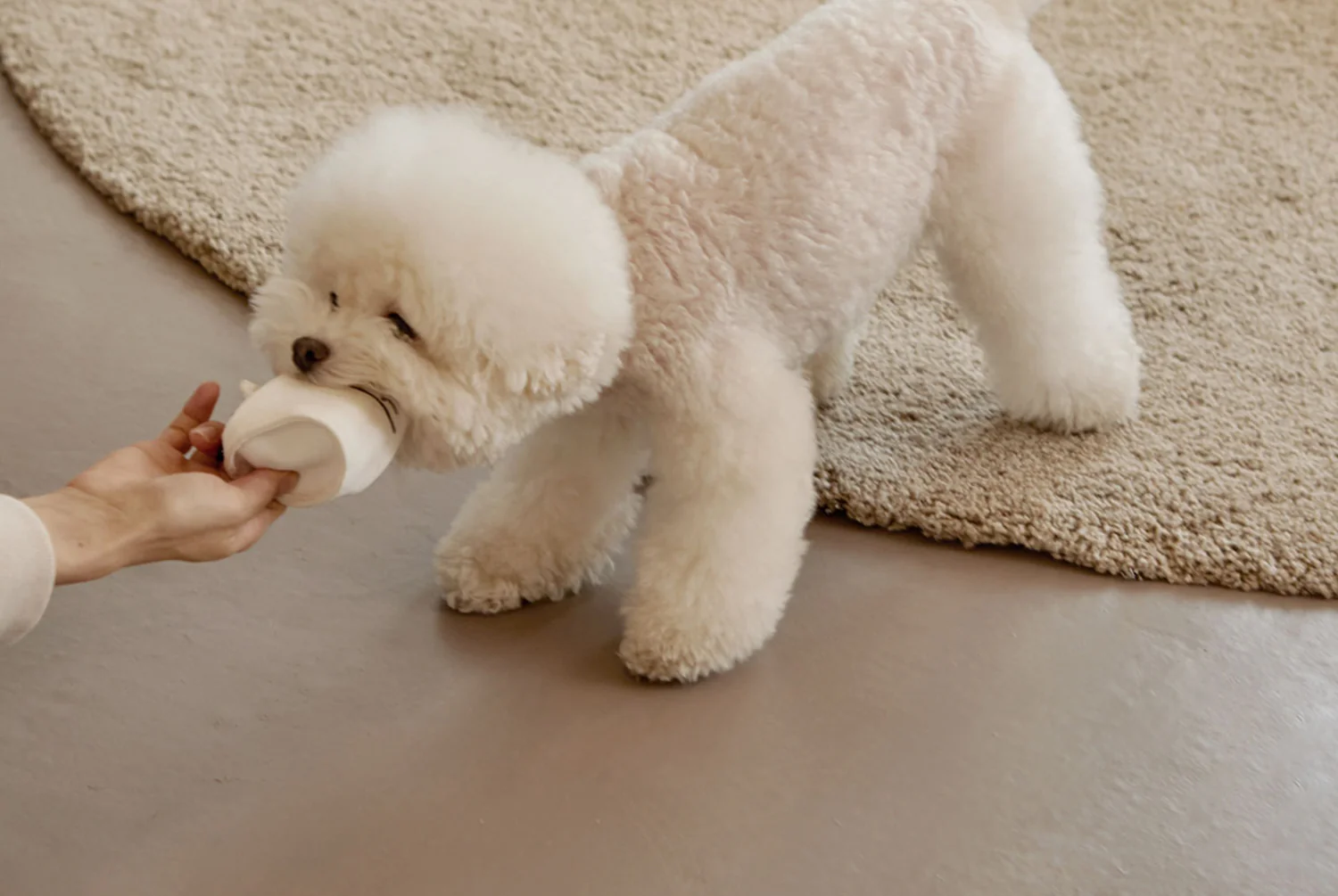 PAPER CUP NOSEWORK TOY