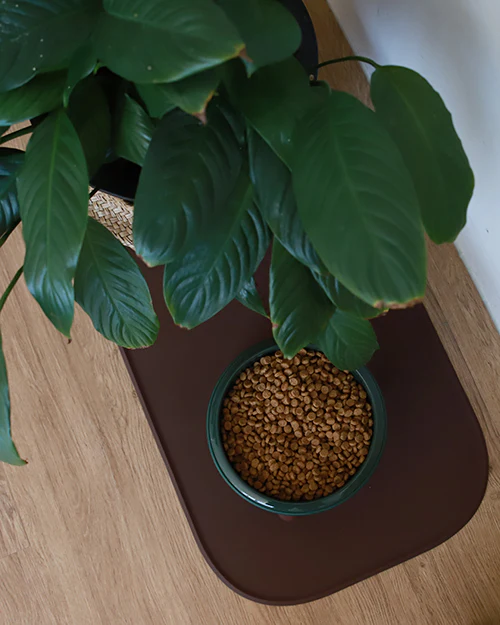 Oreo Double Pet Mat . WALNUT BROWN