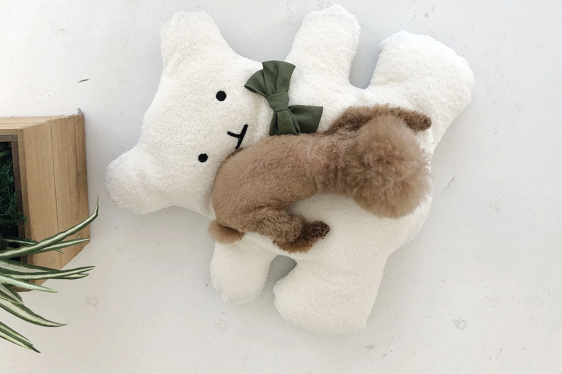 BEAR CUSHION . WHITE