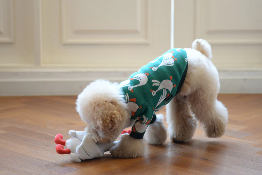 Flying Duck Nosework Toy