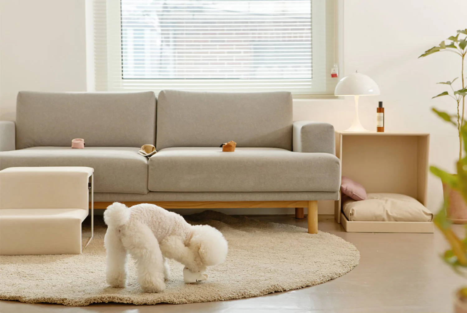 PAPER CUP NOSEWORK TOY