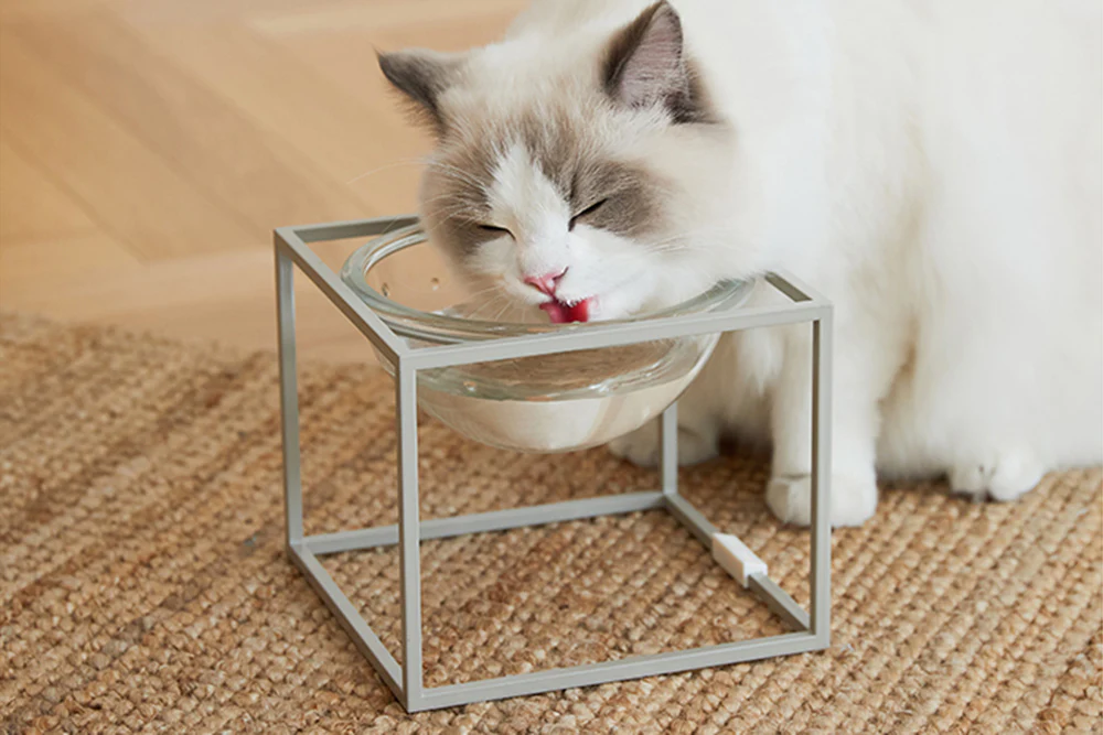 Moonlight Elevated Pet Glass Table. Gray. Short