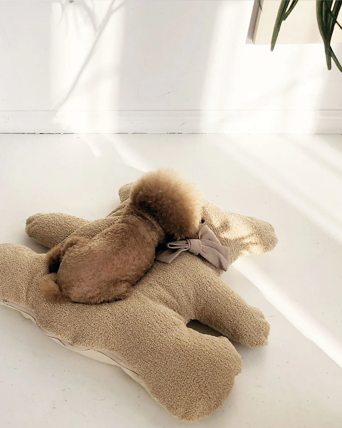 BEAR CUSHION . BROWN