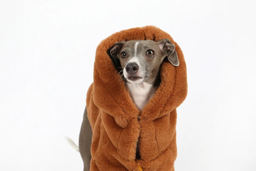 Boutique Faux Fur Jumper