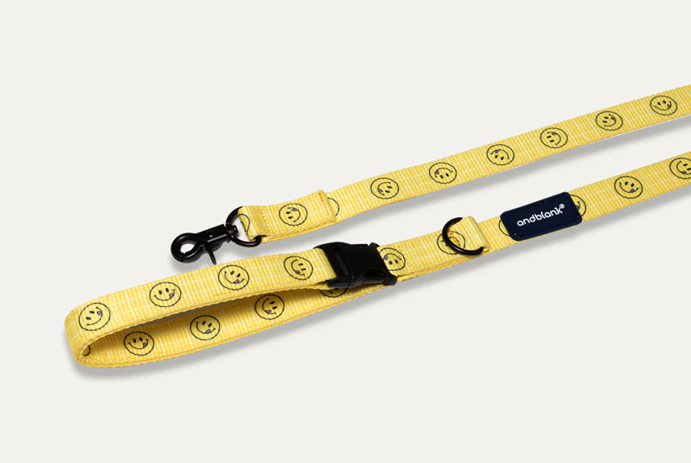 Smile Edition . Yellow . Collar & Leash Set