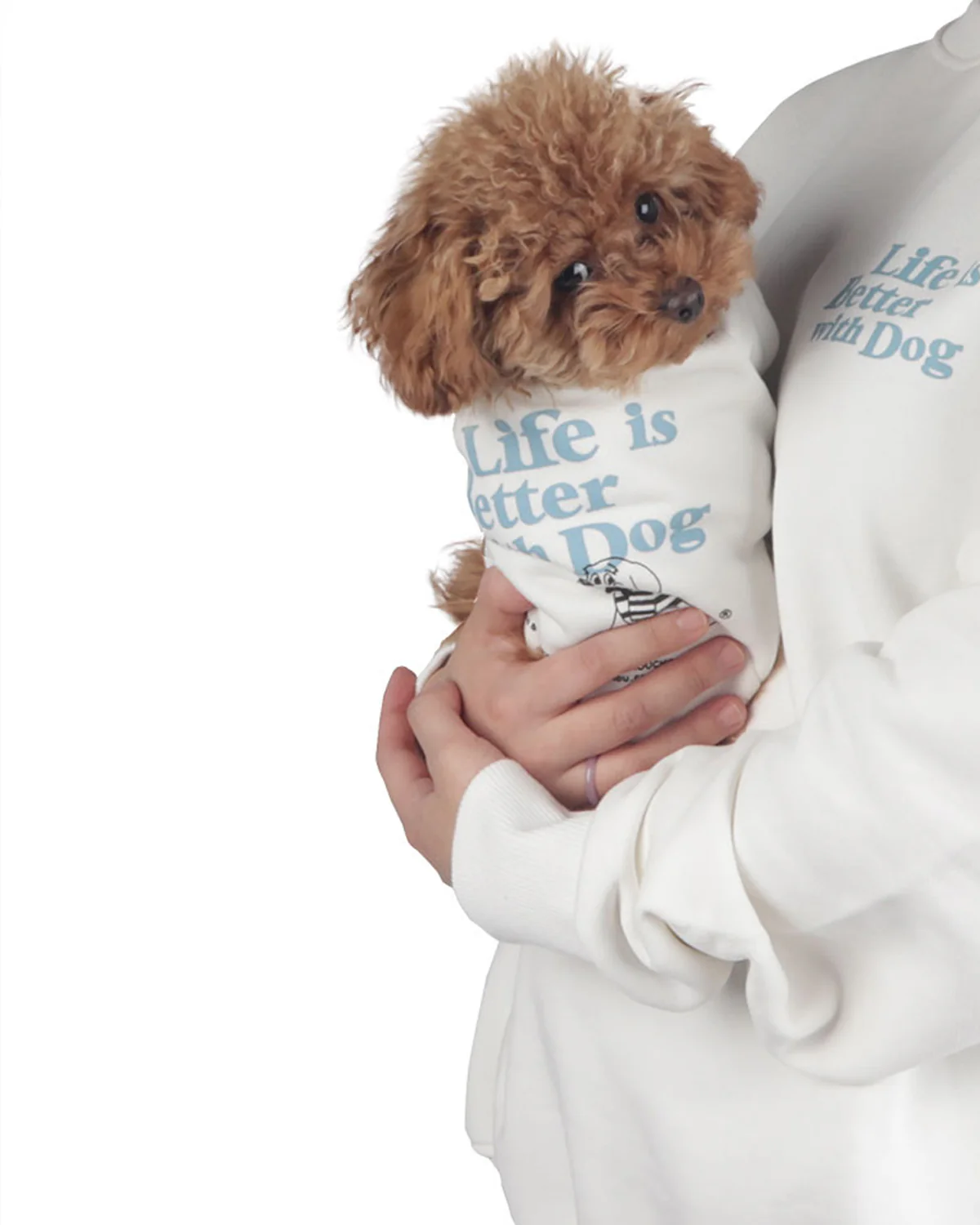 With dog Sweatshirts . For Dogs . White