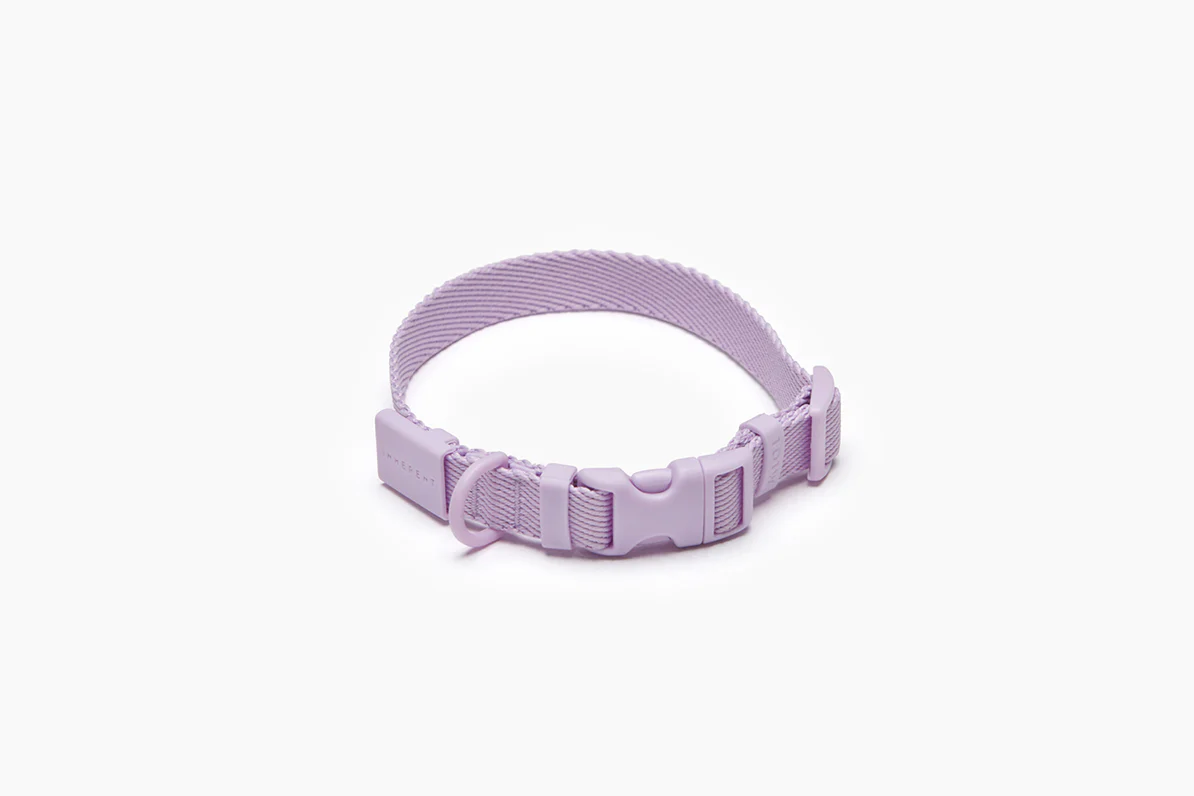 Macaron Collar . Lavender
