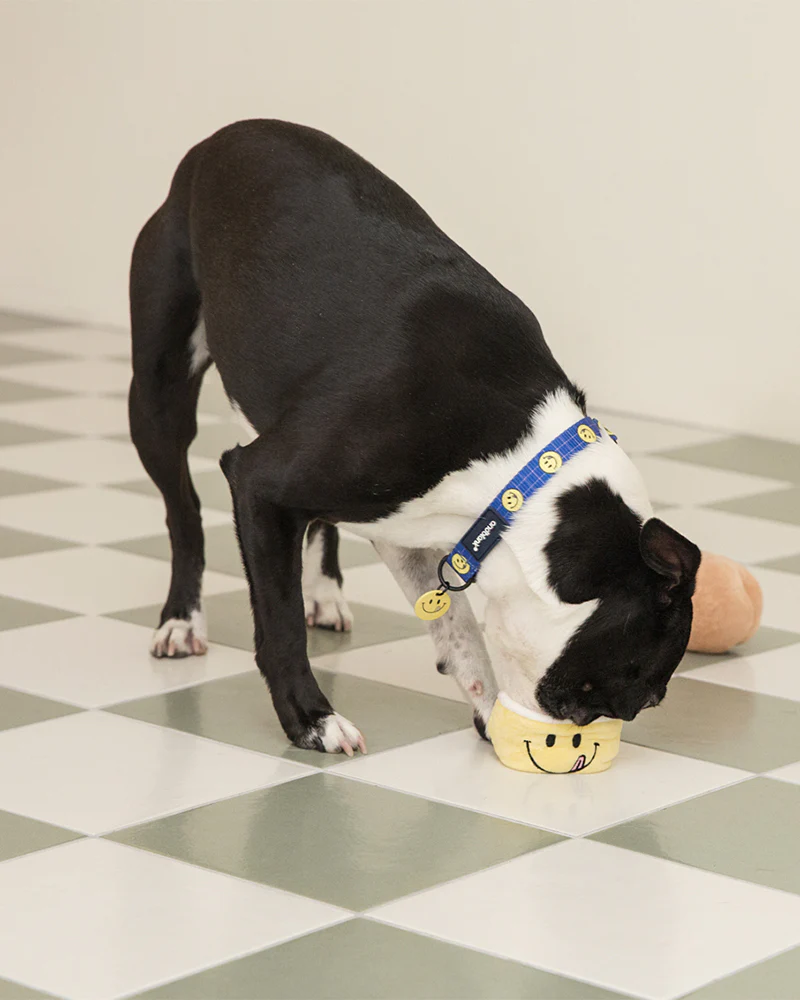 Smile Edition . Blue . Collar