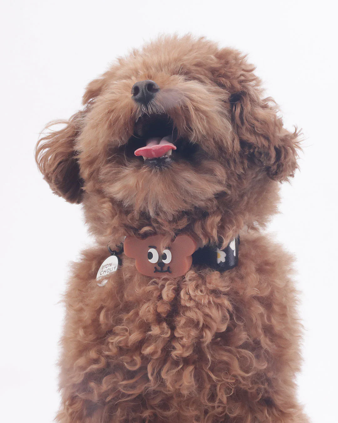 Bear Night Light Pendant