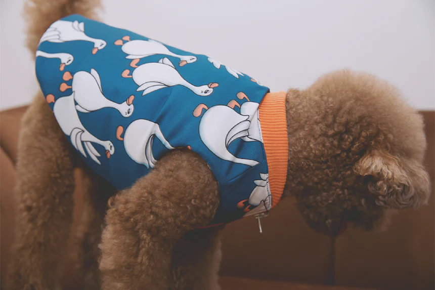 Flying Duck Reversible Padding Jacket . Blue