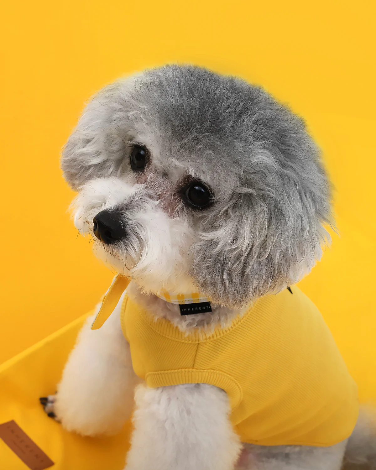 GELATO . TANK . YELLOW